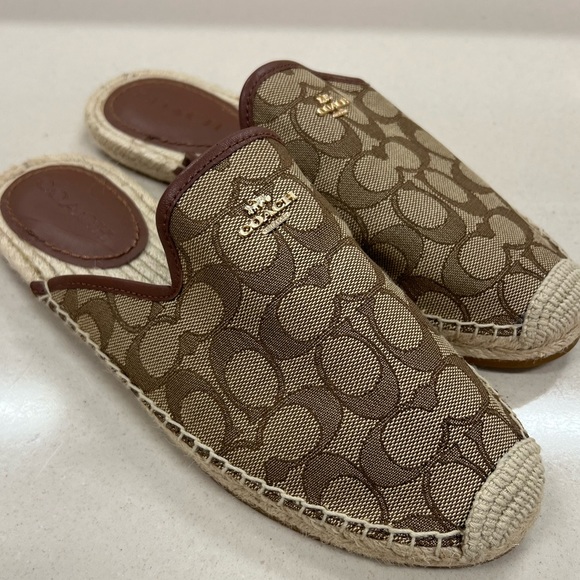 Coach slides - Picture 2 of 6